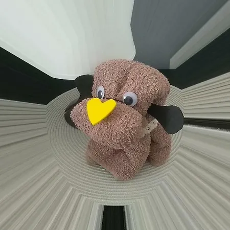 Zudecche 1 * ترييستي